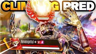 Grinding to Predator Rank in Season 21 Apex Legends...