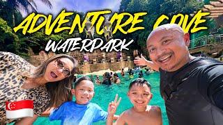 BEST Waterpark in Singapore  (Adventure Cove & VivoCity) | VLOG 12