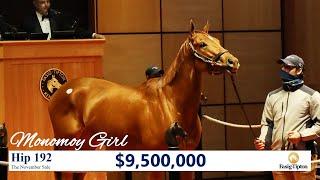 Monomoy Girl sells for $9,500,000 at The November Sale (2020)