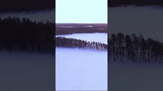 5 фактов о Карелии, которые вы точно не знали 🫣 #кело #деревянныйдом #сухостойнаясосна#баняизбревна