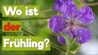 Frühling mit Hindernissen