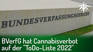 BVerfG hat Cannabisverbot auf der "ToDo-Liste 2022" | DHV-News # 329