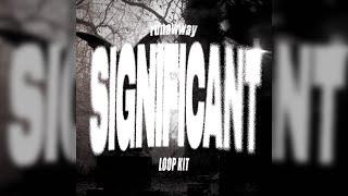 [FREE] SUPERTRAP LOOP KIT "SIGNIFICANT" (Supertrap, redda, ambient, darkspin, lancey foux etc.)