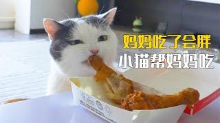 谁能懂小猫的良苦用心啊！