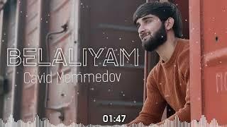 Cavid Memmedov -Belaliyam (2024)