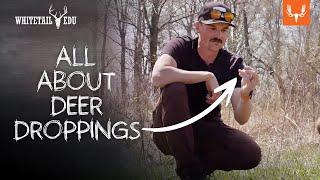 All About Deer Droppings | Whitetail EDU | With Mark Kenyon and Tony Peterson