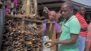 The Sangoma Muthi Market - Warwick Junction, Durban