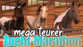 mein TEUERSTER ZUCHT-MARATHON  aller Zeiten  Teil 1️⃣ Rival Stars Horse Racing