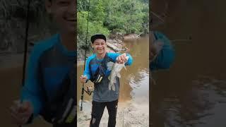 monsternya SUGAI||. mancing mania #shorts #mancing