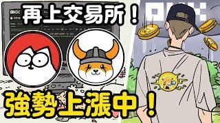 Simons Cat 再上交易所下一個就是 Binance 幣安？｜Simon's cat｜貓幣｜迷因幣｜$CAT Token｜小田博一