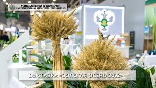 Выставка «Золотая осень - 2022»