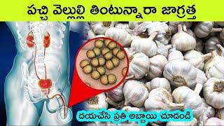 Benefits of eating raw garlic |  vellulli  | facts in telugu  | health tips telugu  | bmc facts