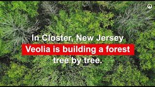 Veolia is building a forest tree by tree in Closter, NJ