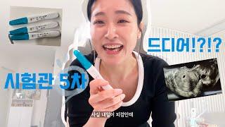 시험관 5차 성공! 저 임신했어요!! : 임테기 두줄, 오비드렐 영향, 피검1,2차 통과, 아기집까지의 여정
