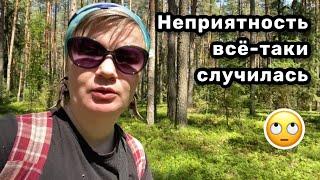  26. Неприятность всё-таки случилась. Совсем я ку-ку или нет? Откопала себе папоротник.