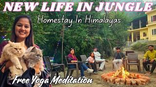 Cottages & Camping - Homestay near Rishikesh - Free Yog & Meditation with Flute - Best for Long Stay