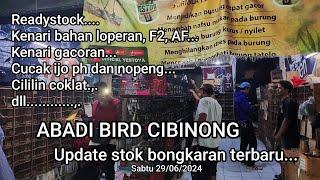 Update Stok bongkaran terbaru abadi bird cibinong Sabtu 29/06/2024