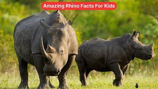 Amazing Rhino Facts For Kids | Fun & Educational Wildlife Video #EducationalVideo #TopKidsZone