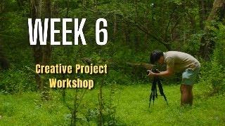 LIVESTREAM - Creative Project Workshop (Week 6)