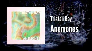 [17-tone electronic] Tristan Bay - Anemones