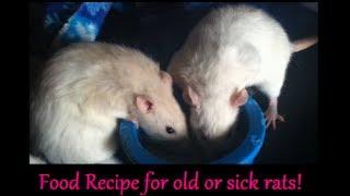 Quick Tip tuesday- Food Recipe for sick rats!