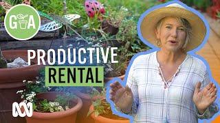 Growing in a Rental Garden | Growing Fruit and Vegies | Gardening Australia