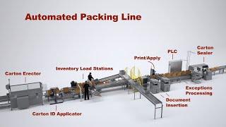 Automated Packing Line | Invata Intralogistics