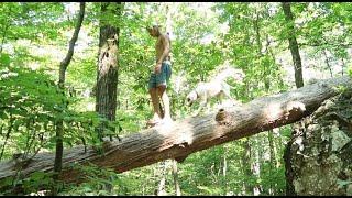 Bushwhacking To The Highest Peak In Tennessee (Mount Guyot)