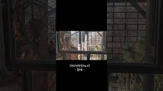 [명언/성경/글귀ep.12] -플라톤-/#shorts