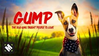 Gump | Free Family Adventure Movie | Full Dog Movie | MOVIESPREE