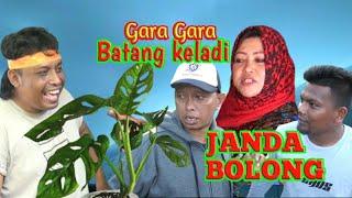 GARA GARA BATANG KELADI, JANDA BOLONG