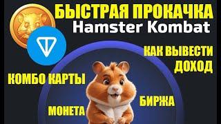 Hamster Kombat Быстрая прокачка и секреты /  Комбо карты / 5 000 000 каждый день