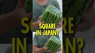 Why Watermelons are Square in Japan 
