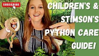 Children's and Stimson's python Care Guide: Heating, humidity, substrate, feeding and much more!