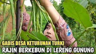 Gadis Desa Keturunan Turki, Rajin Berkebun Di Lereng Gunung Yang Indah || Girl Rural Life