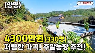 4300만원 330평 저렴한 양평 토지 주말 농장용으로 추천! (양평급매물,양평토지,양평전원주택)