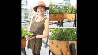 Unboxing and assembling of HighRise Self-Watering planter from LifeSpace Gardens.