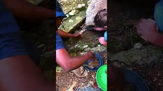 Huge Bedrock Crevice Gold Prospecting