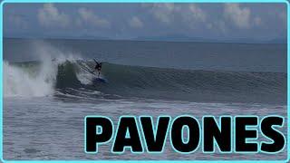 Pavones: The second longest left in the world!