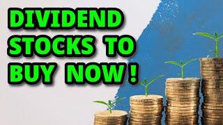 Best Dividend Stocks to Buy NOW!