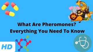 What Are Pheromones? Everything You Need To Know