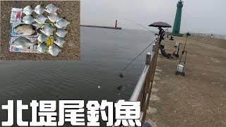 [胖咪]跑到北堤尾釣魚 走的好累／剛好遇到銀鯧群／#獵魚人救生衣#阿維磯釣練餌#志成白几奴#名洋釣具！