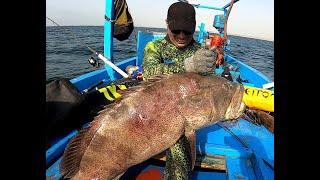 Spearfishing Giant Grouper In Stormy Weather