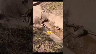 NEW TECHNIQUE OF CLEAN PIPE  how to clean pipe and put in hole tyare... #technology #industry...