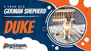 German Shepherd, Duke!  Off Leash K9 Training | Best Off Leash Dog Training Program