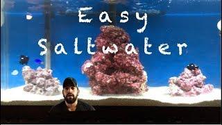 saltwater aquarium setup how to start a saltwater fish tank