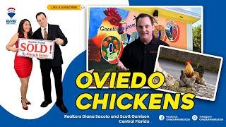 The Story behind the Oviedo, Chickens!