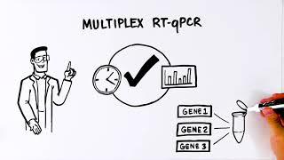 Multiplex RT-qPCR: Advanced Gene Expression Analysis with PrimePCR Assays