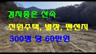 그림같은 계곡 전원주택 펜션지 300평 당60만