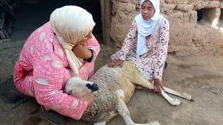 دعوتكم مع  نعيجه  تاع اختكم الكبيره هاد اللحظه شحال صعيبة ربي  يفرج عليها
